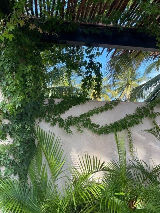 Casa Tulup Sisal Βίλα Εξωτερικό φωτογραφία
